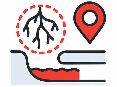 Wurzelfräsung – Kanalortung